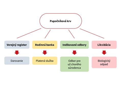 Možnosti využitia placenty po pôrode