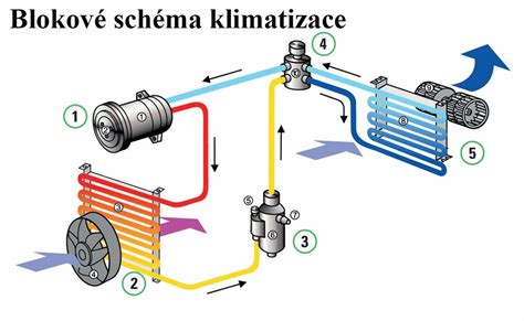 schéma centrálneho termostatu v hypotalame
