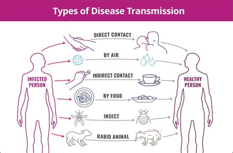 Mechanisms of disease transmission