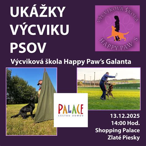 Infografika: Pozitívne metódy výcviku psov
