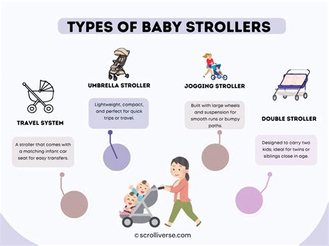 Types of strollers infographic