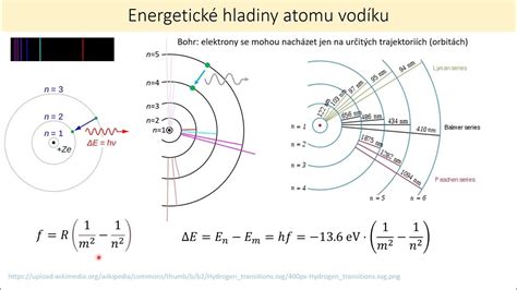 Schéma vzniku nových druhov prostredníctvom reprodukčnej izolácie