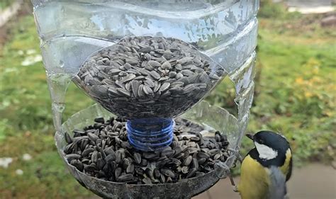Nápady na recykláciu PET fliaš v záhrade