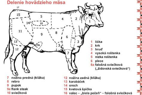 schéma procesu umelej inseminácie u hovädzieho dobytka