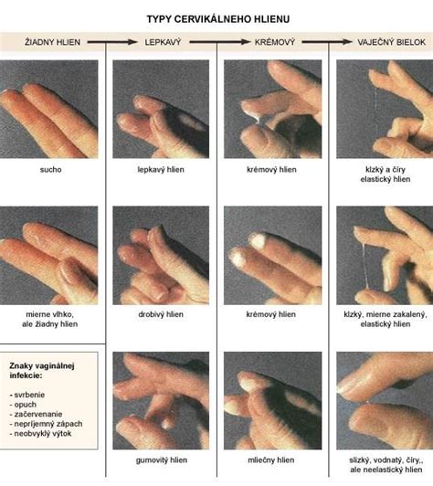 Žena pozoruje cervikálny hlien