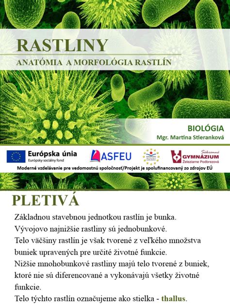 anatómia a morfológia kozy domácej