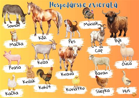 Ilustrácia rôznych typov cumlíkov pre bábätká a hospodárske zvieratá