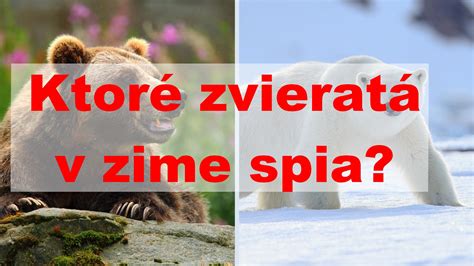Dieťa kreslí zvieratá v rámci testu začarovanej rodiny