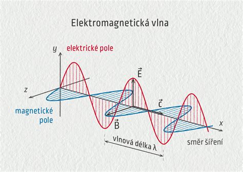 schéma šírenia ultrazvukových vĺn v ľudskom tele