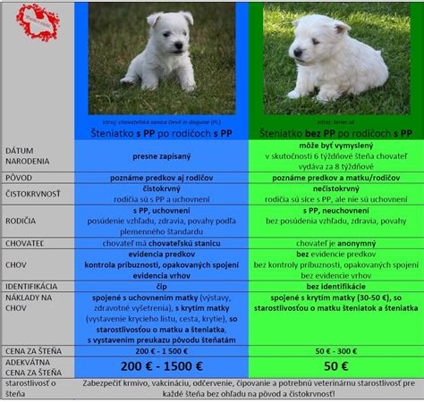 novorodené šteniatko a matka