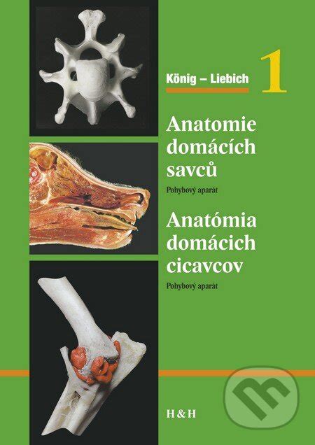 Základná anatómia a kľúčové znaky cicavcov
