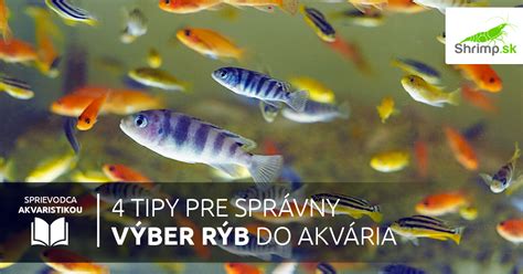 výber rýb a obsah ortuti