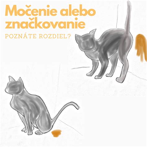 Značkovanie územia líškou