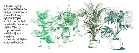 Ilustrácia rôznych druhov kari