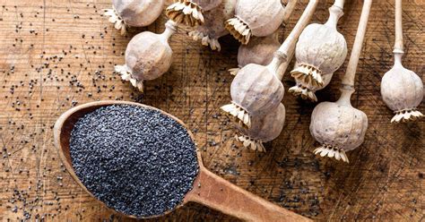 Poppy seeds