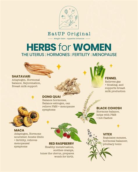 Herbal remedies for women's health