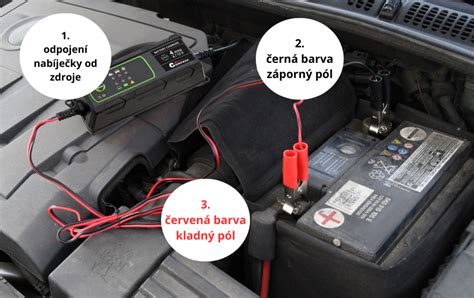 Schéma detoxikácie a výmeny bunkových cyklov