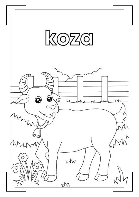 Tehotná koza na farme
