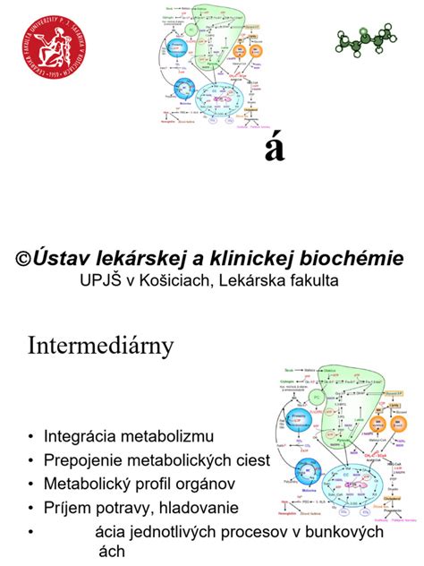 Grafika ukazujúca metabolizmus v ketóze