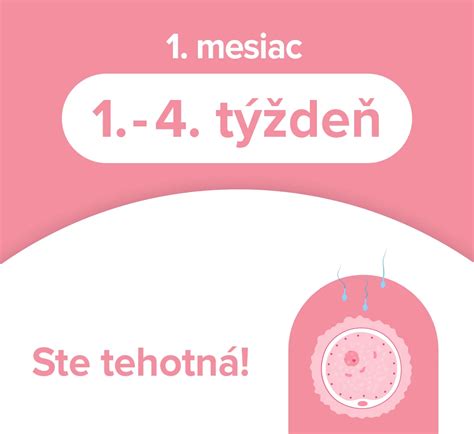 Zložité obdobie tehotenstva vyžaduje odborný dohľad a zvýšenú pozornosť