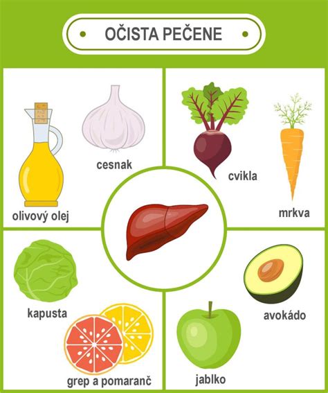 Schéma pečene s jej funkciami