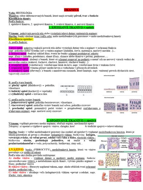Porovnanie mamogramu a ultrazvukového snímku hustého prsného tkaniva