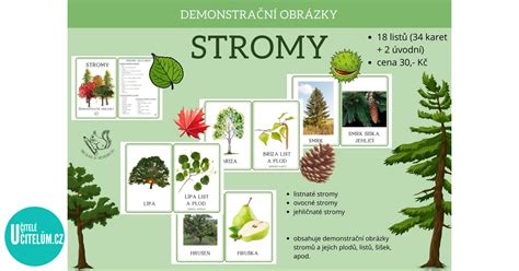 Marulový strom a jeho plody