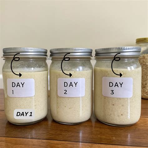 Sourdough starter in a jar with markings for growth