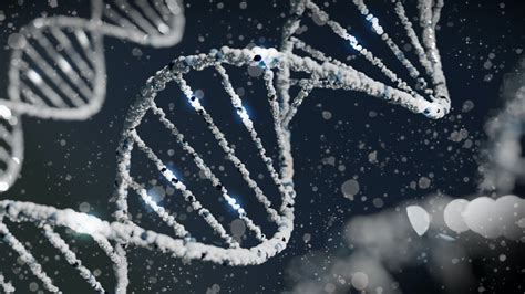 genetická štruktúra DNA
