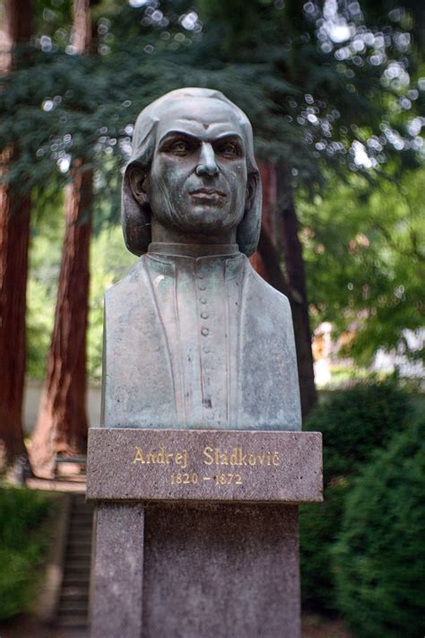 Portrét Andreja Sládkoviča