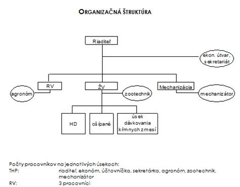 Diagram organizačnej štruktúry zariadenia starostlivosti o deti