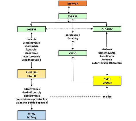Schéma bolestivých oblastí v krížoch a podbrušku