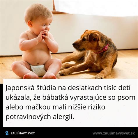 Dieťa sa hrá so psom pod dozorom