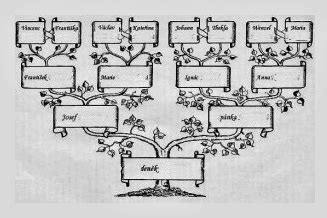 Diagram zobrazujúci rodokmeň rodiny Kmeťovcov (ilustračné)