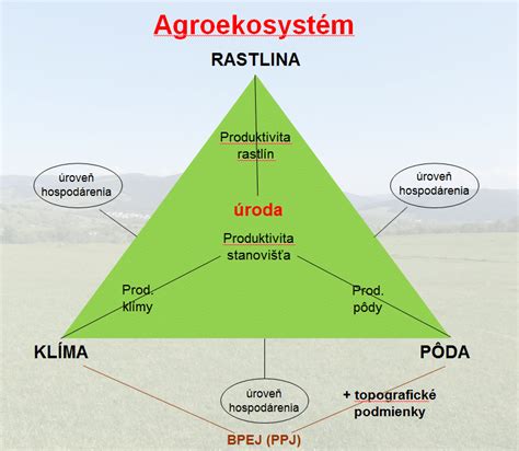 Schéma zobrazujúca interakciu medzi biologickými faktormi, rodinným prostredím a temperamentom dieťaťa