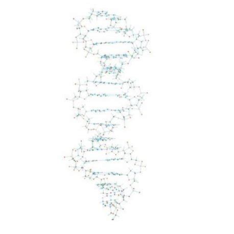 Zobrazenie štruktúry DNA a lokalizácie génu MECP2 na X chromozóme.