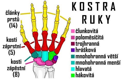 Ruky s prejavmi omrzlín 2. stupňa a pľuzgiermi