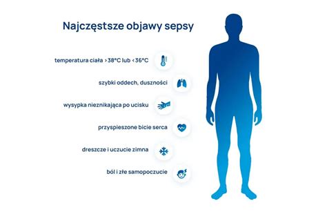 Schéma novorodeneckej sepsy