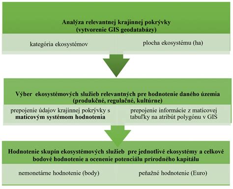 Zákaznícke recenzie a hodnotenia súkromných zdravotníckych služieb